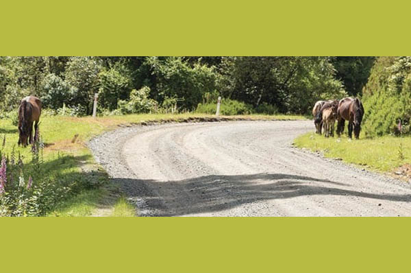 environmentally friendly road surface
