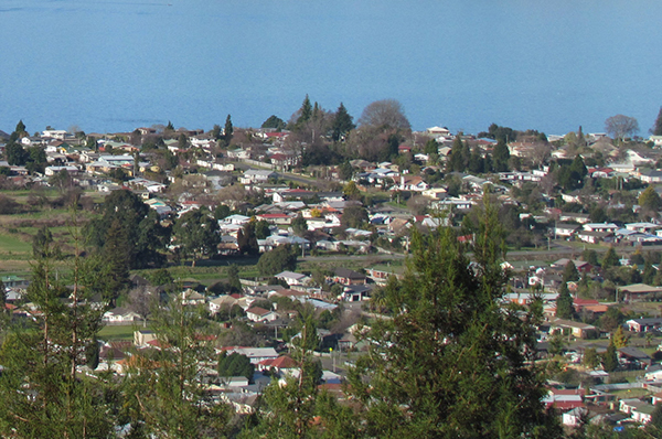 Rotorua houses