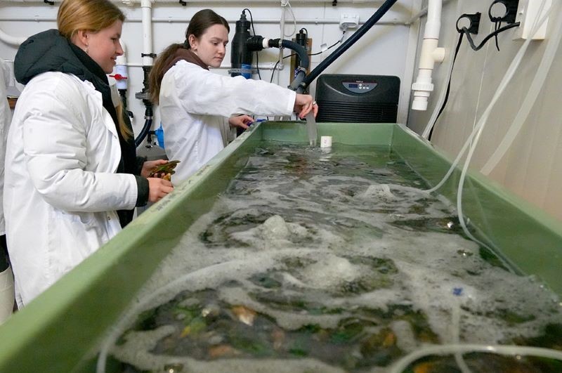 Student Mussel workshop