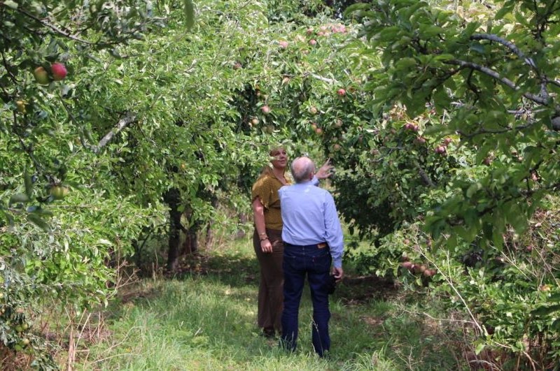 Armin Werner in apple orchard