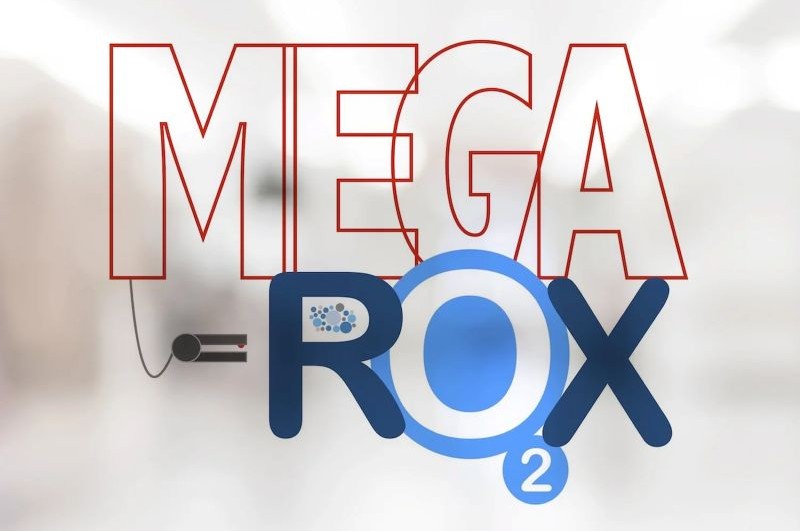 Mega-ROX logo