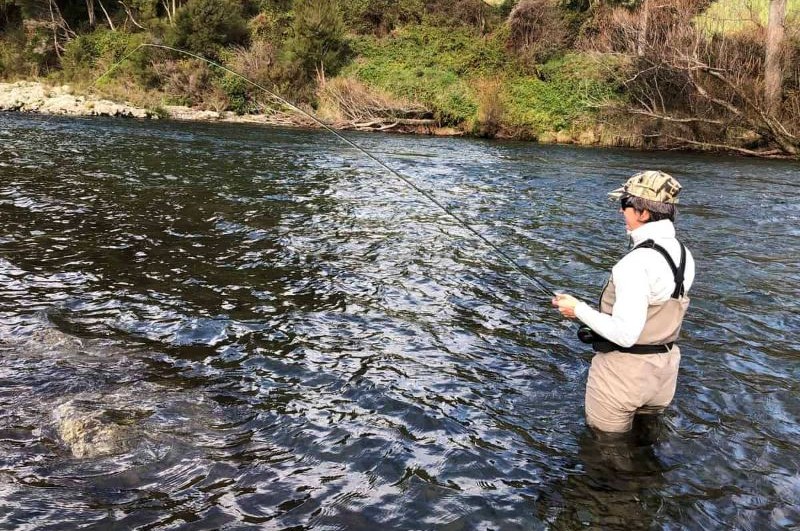 Trout fishing