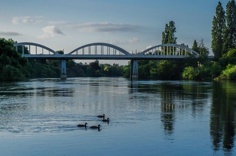 Waikato River