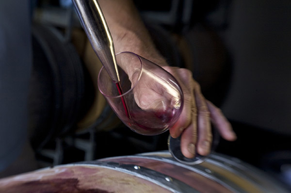 red wine making