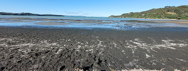 Okeania mat affecting beach