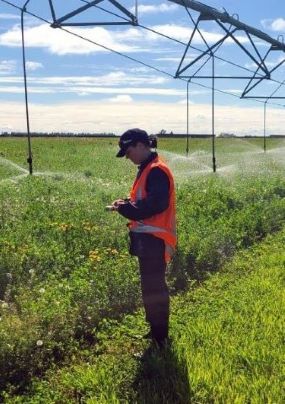 inspecting irrigation